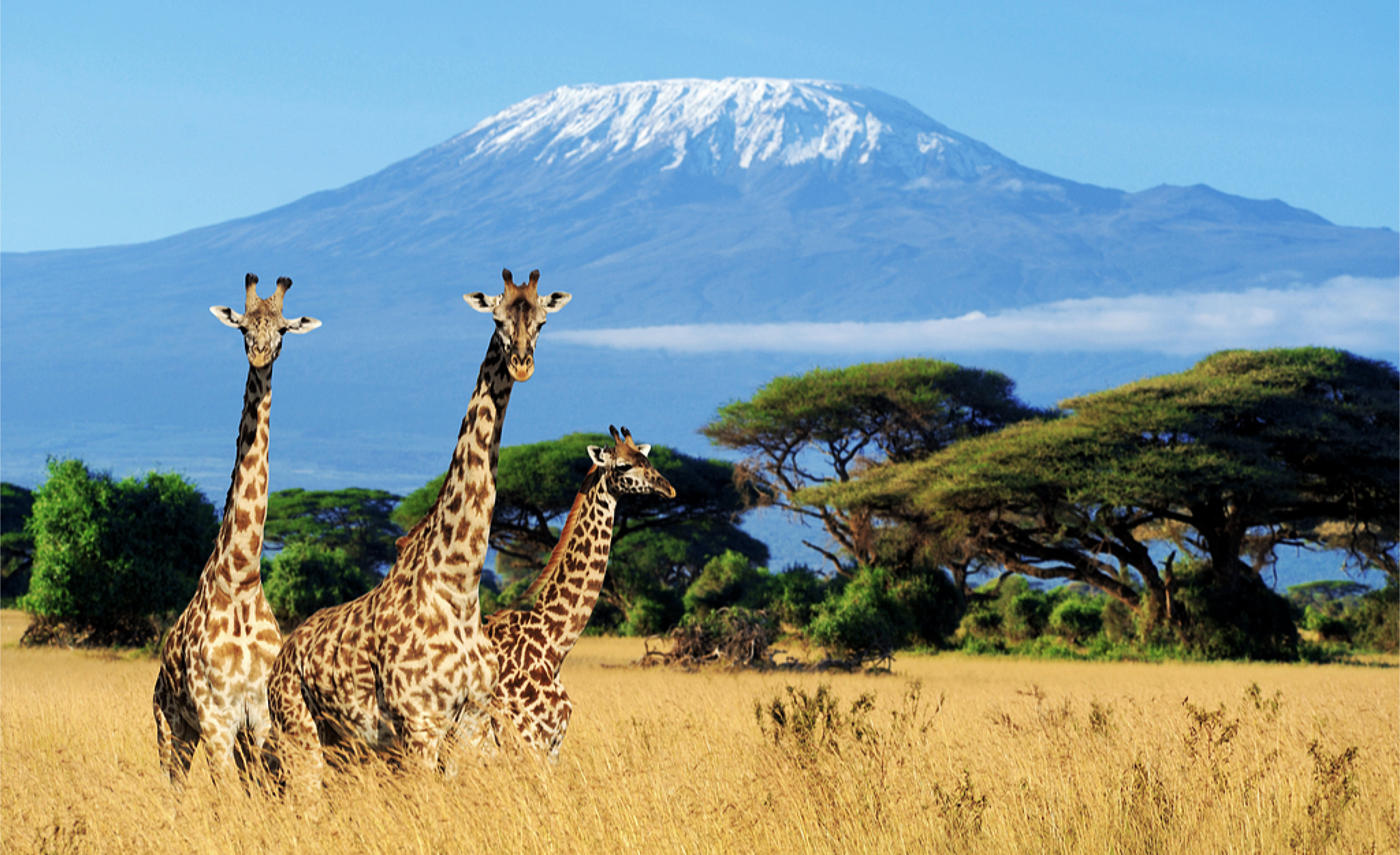Le tourisme au Kenya - Tambourafrik Tourisme au Kenya
